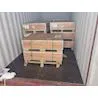 48 Cell RUIPI REPT Pallet Sun Fun Kits