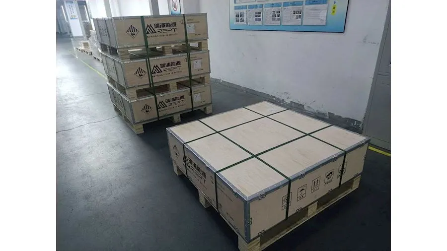 48 Cell RUIPI REPT Pallet Sun Fun Kits