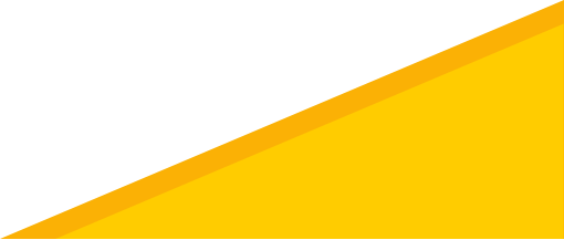 sfk-footer-bottom-right-bg